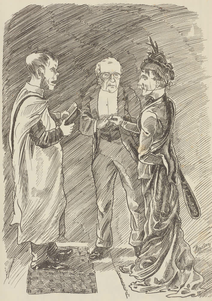 The Women's Political Associations of N.Z., 1895