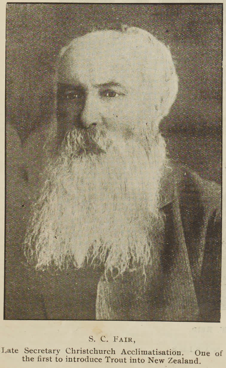S. C. Farr, Late Secretary Christchurch Acclimatisation, 1896