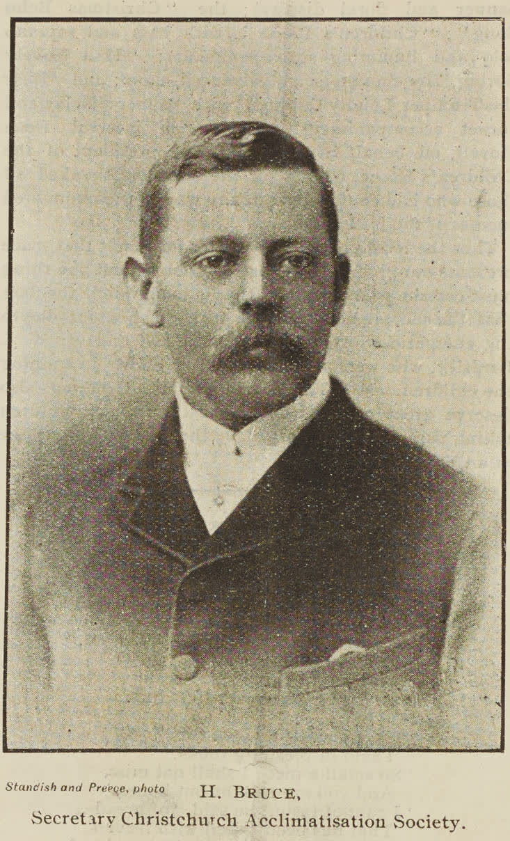 H. Bruce, Secretary Christchurch Acclimatisation Society, 1896
