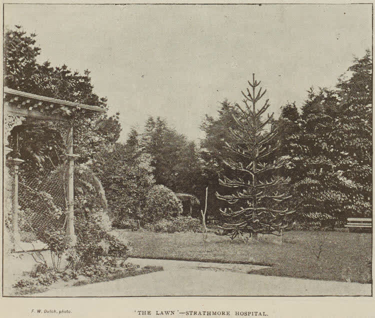 The lawn - Strathmore Hospital, 1896