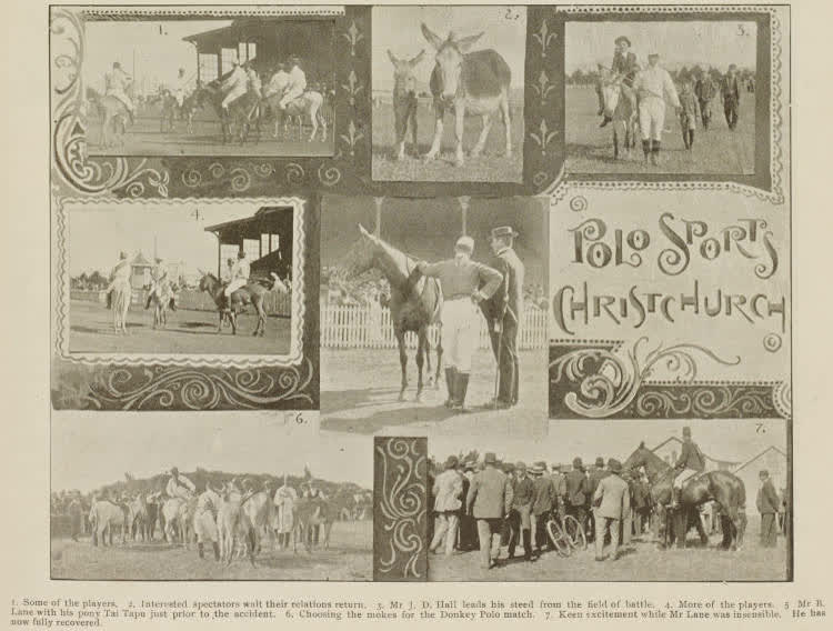 Polo sports, Christchurch, 1897