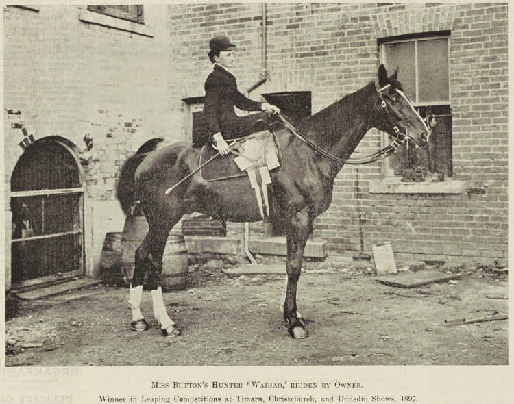 Miss Button's hunter 'Waihao', ridden by owner, 1898