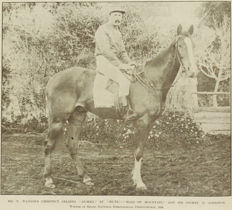 Mr F. Watson's chestnut gelding Dummy, by Mute - Maid of Mountain, and his jockey, P. Johnston, 1898