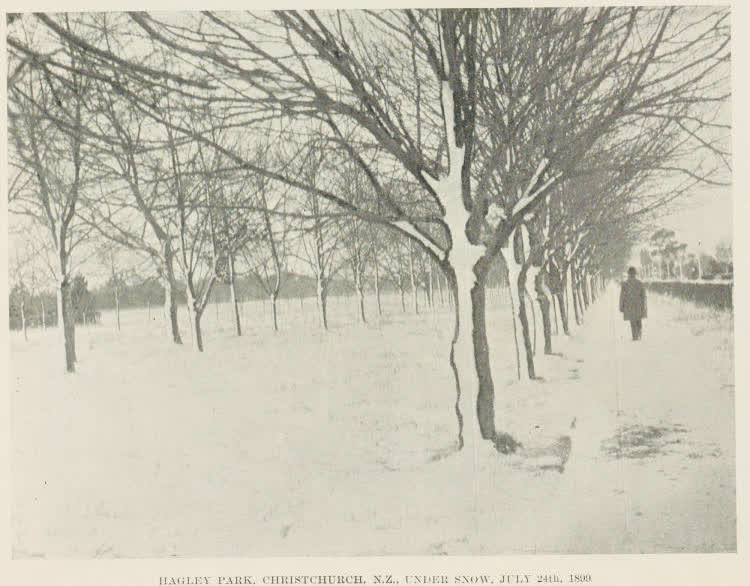 Hagley Park, Christchurch, N.Z., under snow, July 24th, 1899, 1899