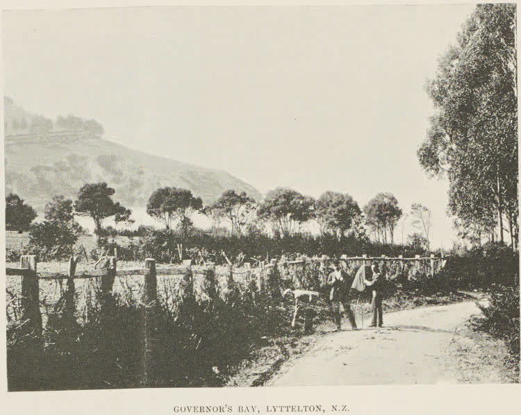 Governor's Bay, Lyttelton, N.Z., 1899
