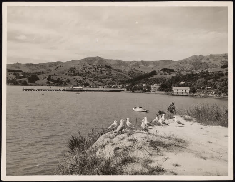 Akaroa, 1950
