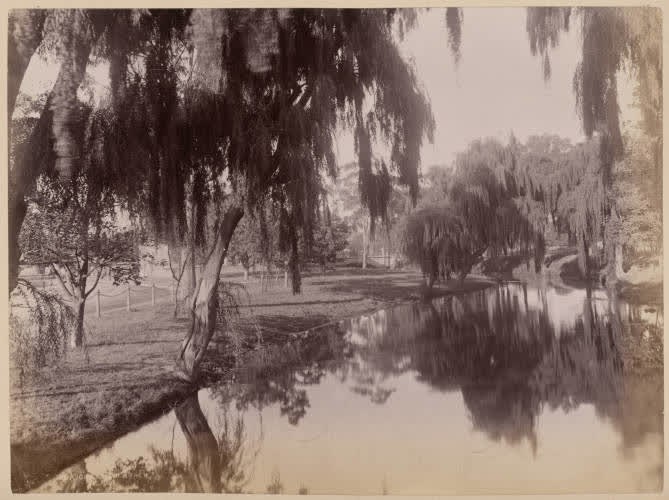 The Avon River, Christchurch, 1880