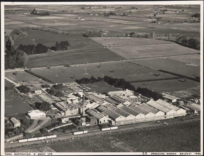 Belfast Freezing Works, 1950, 1950