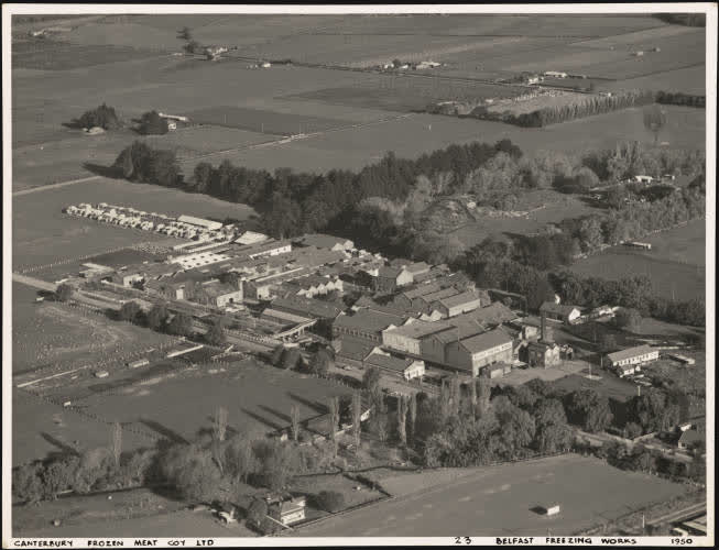 Belfast Freezing Works, 1950, 1950