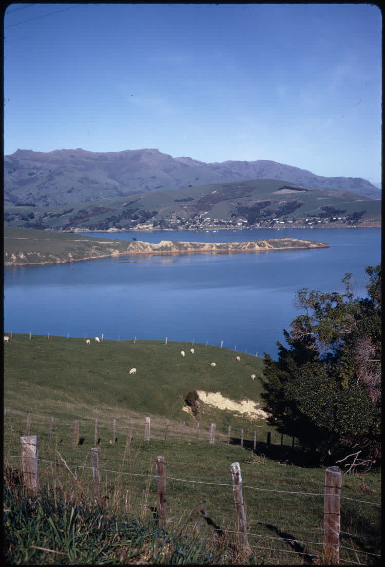 Akaroa Harbour, 1970, 1970