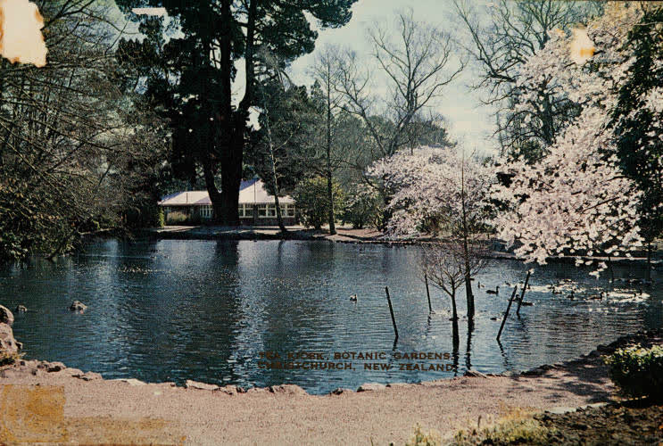Christchurch Botanic Gardens, 1960