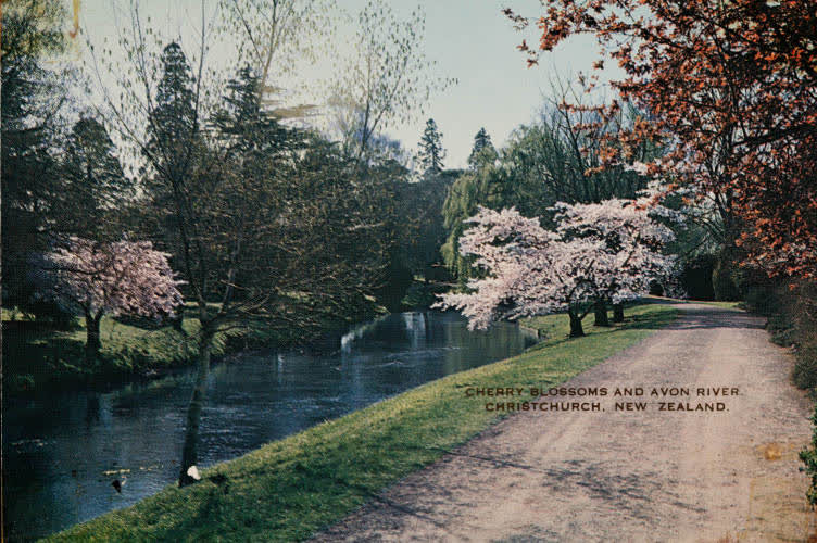 Avon River, Christchurch, 1960