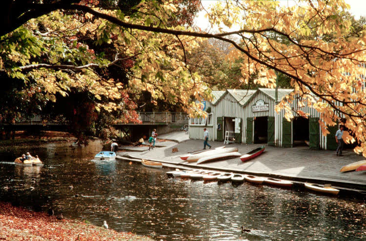 Boatsheds on the River Avon, Christchurch, 1980