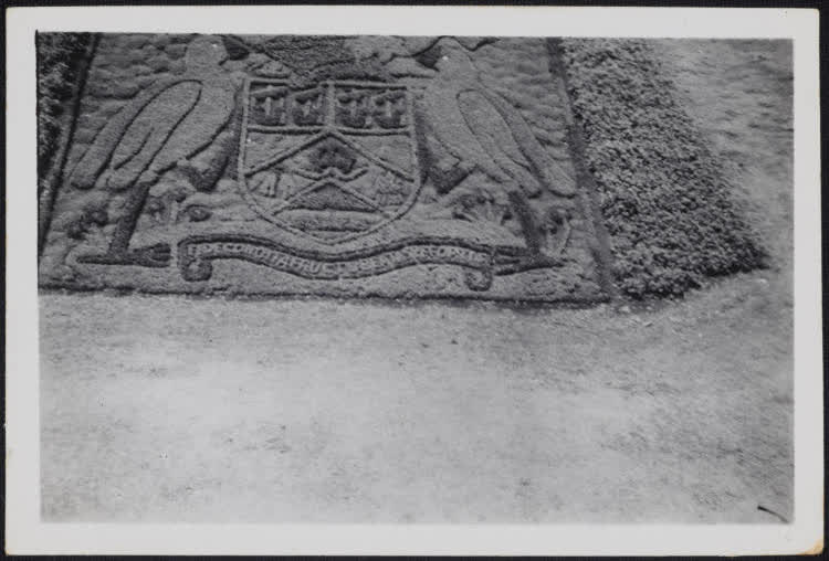 Decorative flower bed, Jellicoe Park, Onehunga, 1950