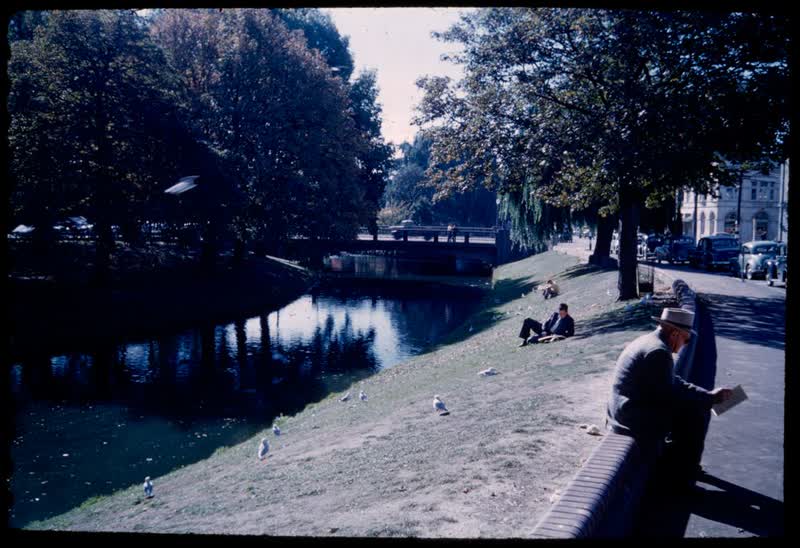 The Avon, Christchurch, 1959