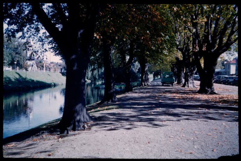 The Avon, Christchurch ...., 1959