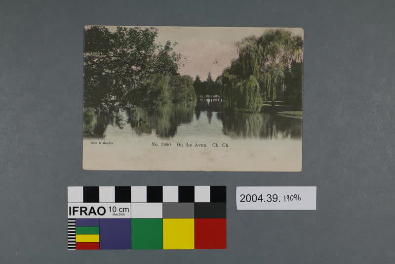 Postcard: On the Avon, Christchurch, 1905