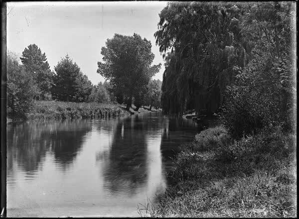 The Avon River and willows, 1900