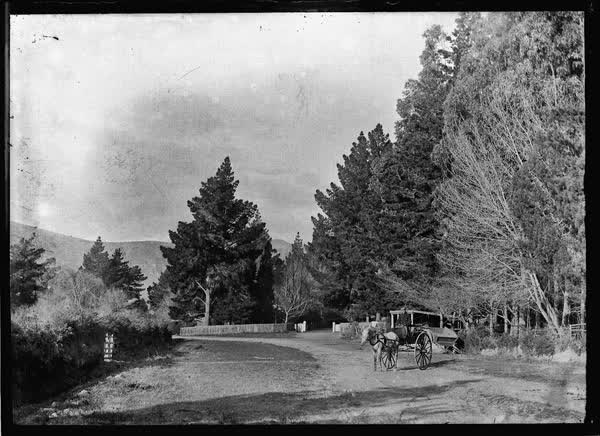 Horse and cart, 1900