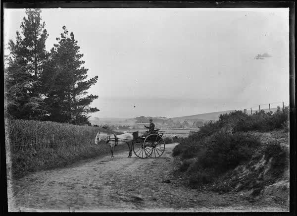 Horse and cart, 1900