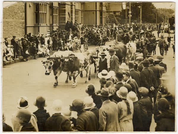 Canterbury Jubilee procession on Armagh Street, 1900
