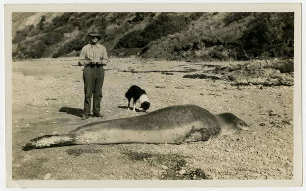 Ernest (Top) Thompson  on Bushy Beach, the Cape, Oamaru, 1930