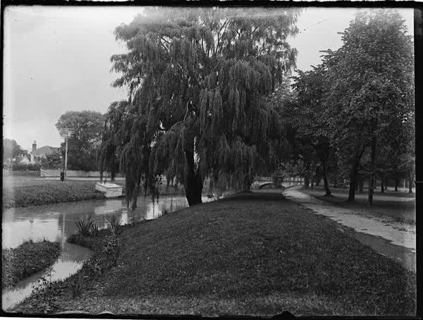 Avon River towards Armagh Street, 1900