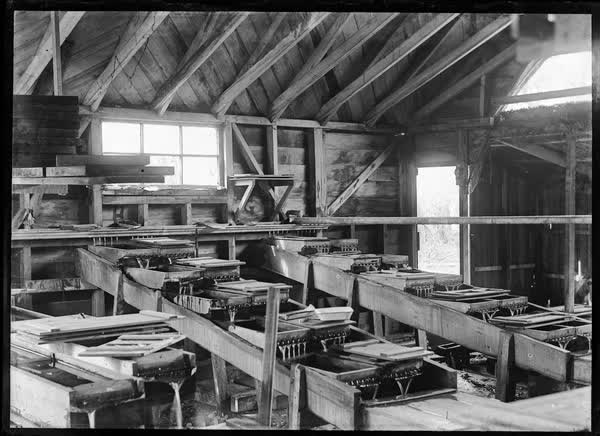 Interior of a wooden building, 1900