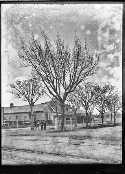 Group of boys in a street, 1900