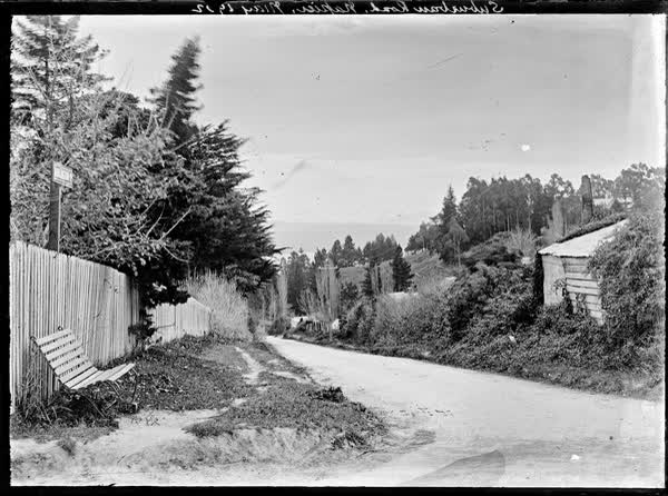 Burlington Road, Napier, May 1902, 1902