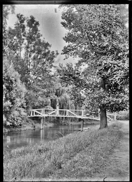 Botanic Gardens footbridge, 1900