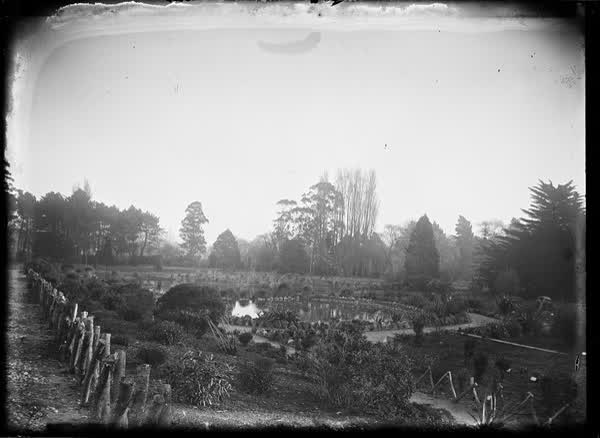 Newly-planted formal garden, Botanic Gardens, 1900