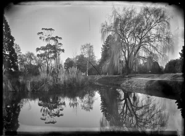 Pond scene in the Botanic Gardens, 1900