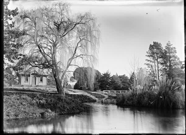 River scene in the Botanic Gardens, 1900