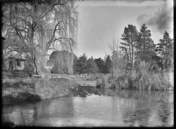River scene in the Botanic Gardens, 1900