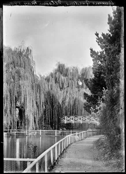 Queens Gardens, Nelson, May 1902, 1902