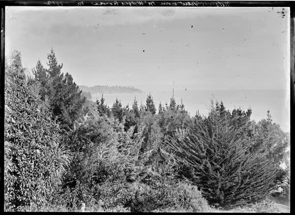 Nelson, View from Mr. Wollf's House, May 1902, 1902