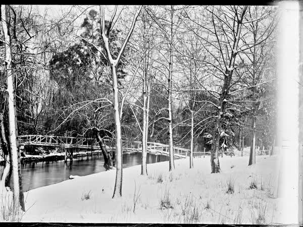 Park view, in snow, 1900