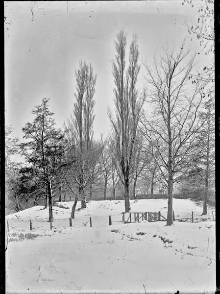 Park view, in snow, 1900