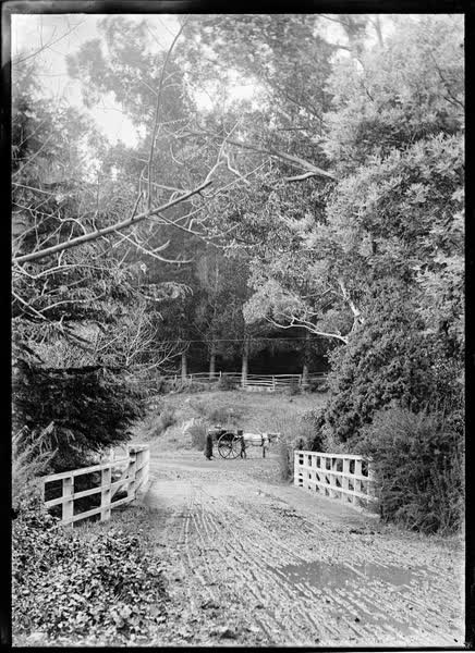 Road and bridge, 1900