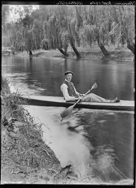Brown, November 1904, Wellington, 1904