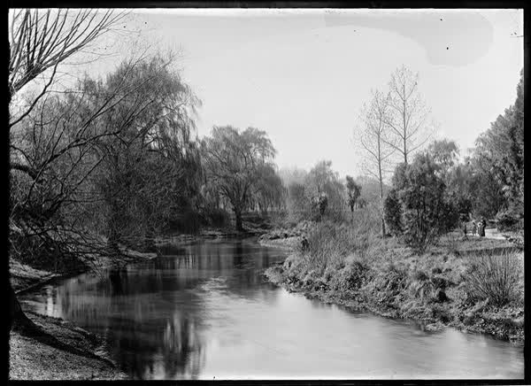 Avon River with mature trees, 1900