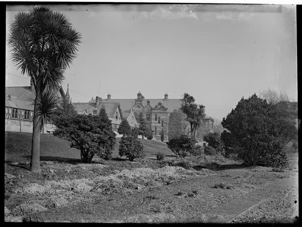 Christchurch Hospital with trees and shrubs, 1900