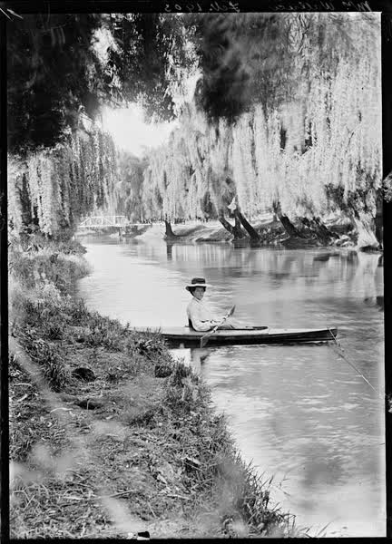 Mrs. Wallace, February 1903, 1903
