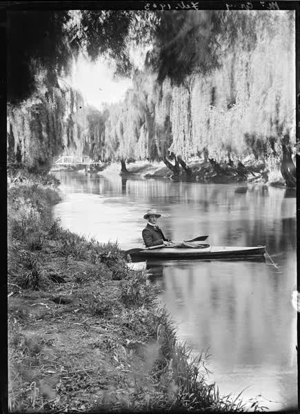Mr. Gray, February 1903, 1903