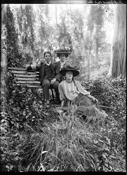 Stephenson's Company, November 1904, 1904