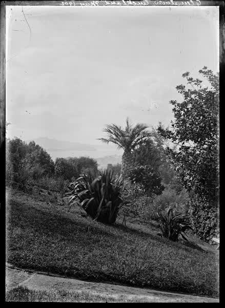 Glenalvon, Auckland, May 1902, 1902