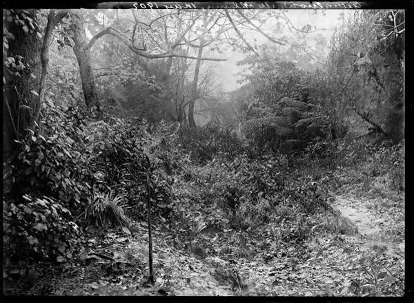 Glenalvon, Auckland, May 1902, 1902