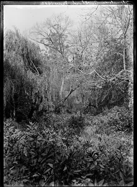 Glenalvon, Auckland, May 1902, 1902