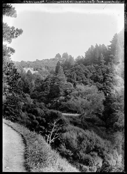 Botanical Gardens, Wellington, May 1902, 1902